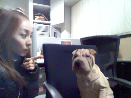 dara and gaho