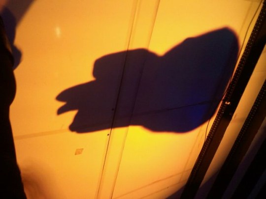 21dara_1292223005_06887_me2photo