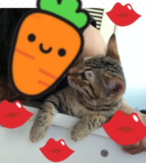 21dara_1314843379_58894