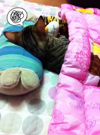 cutiedadoong_1323397266_17193