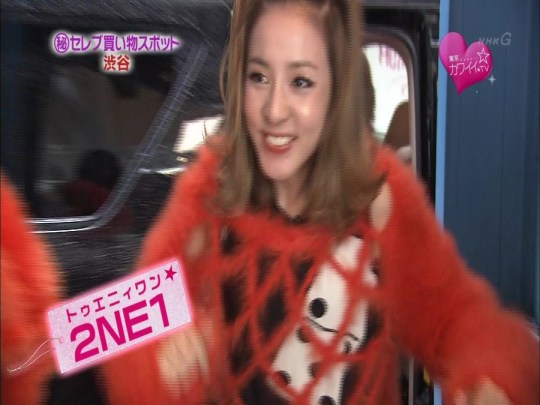 120128 TOKYO.KWAII.TV.NHK 0219