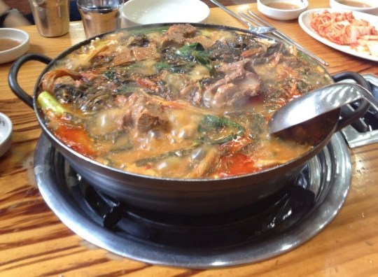 21dara_4465797077908507750