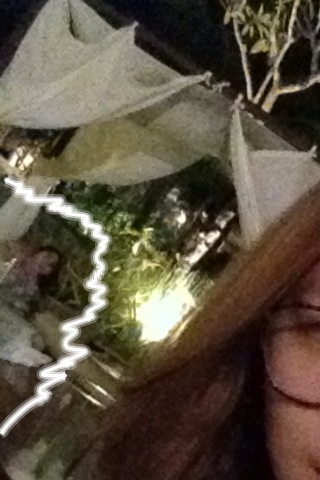 21dara_7332697628753533679