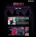 2ne1global