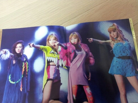 1354618038740_20121204_185418