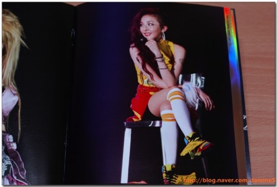 2012_2NE1_GLOBAL_TOUR_LIVE_g