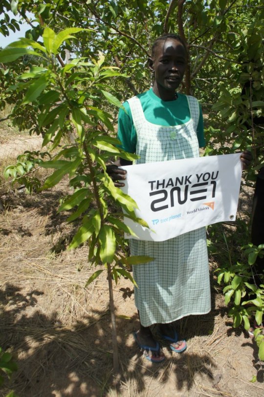 482449_543589779007556_158075299_n