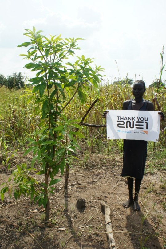 537144_543589795674221_1049672631_n