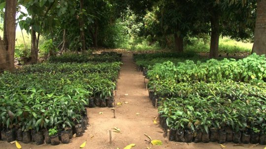 563254_543589555674245_676815371_n