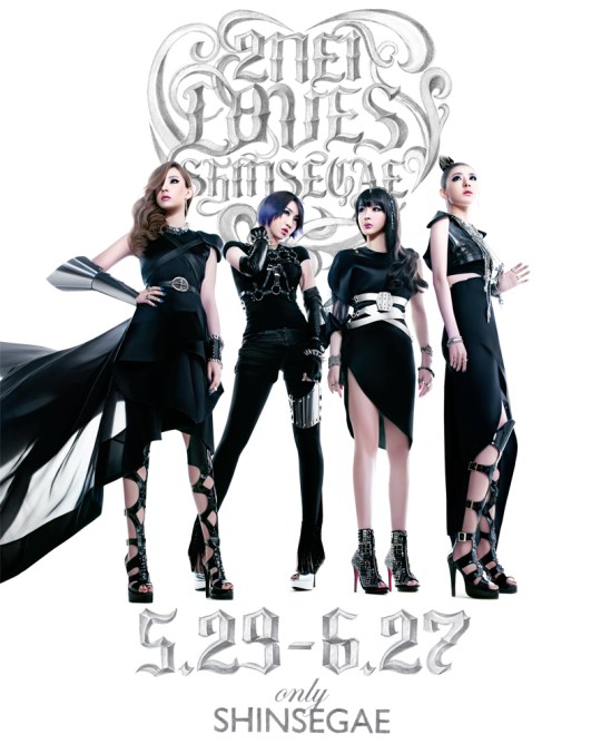 2ne1lovesshinsegae_800px_final