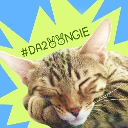 52abcb21a00a126434027a93ed5751f6