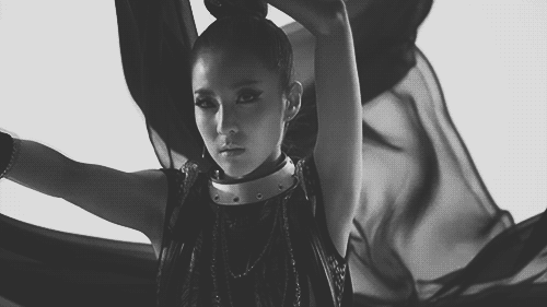 tumblr_mmgilrVIgY1ry65bao2_500