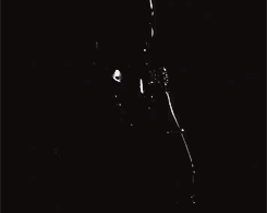 tumblr_mo11c8oCxC1r8d91lo1_250