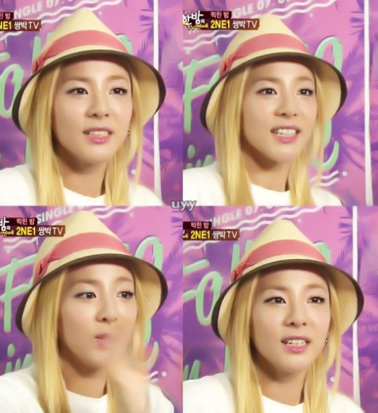 130717_SBS_ä¢å¨TVæÑçÝ2NE1_cut_201371919114