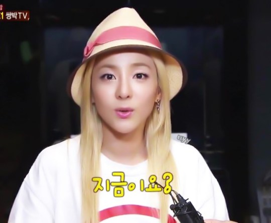 130717_SBS_ä¢å¨TVæÑçÝ2NE1_cut_2013719191250