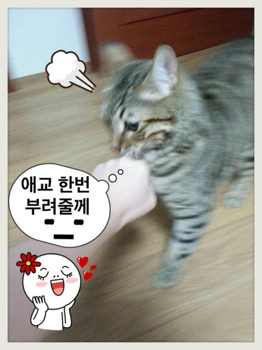 BRZLmUHCYAAc0Ro.jpg large