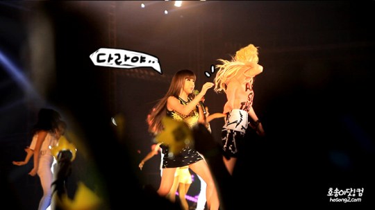 Áöµå·¡°ï_ÄÜ¼-Æ®_Äíµ¥Å¸_Åõ¾Ö´Ï¿ø_04