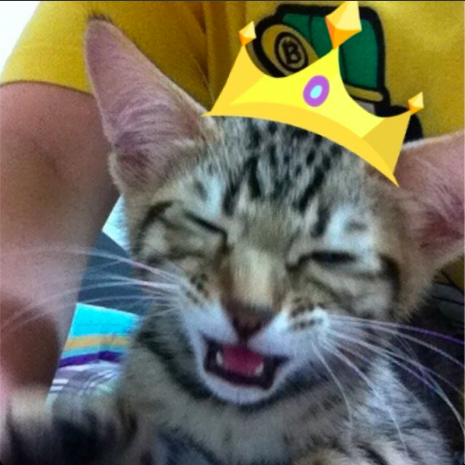 Screen Shot 2013-09-23 at 1.36.27 PM