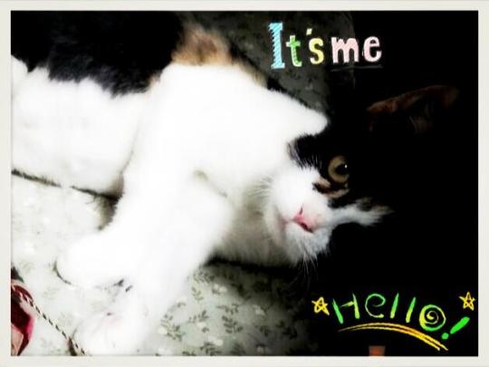 BW0zaEECQAAJbAT.jpg large