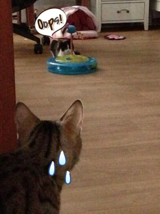 BWvbI-DCMAAwJYz.jpg large