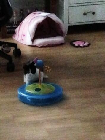 BWvY9O7CEAA5F4_.jpg large