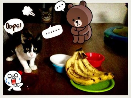 BXUxAzUCAAAOOc-.jpg large