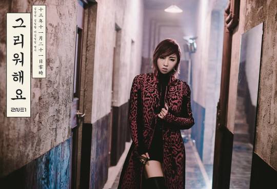 1451380_582206431828555_1374641360_n