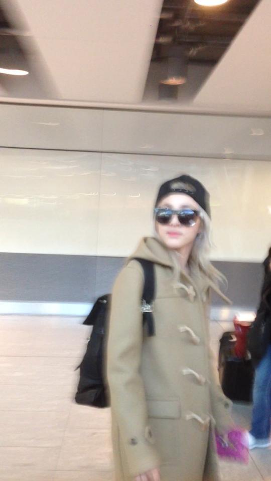 1455884_369579339842916_1048608112_n