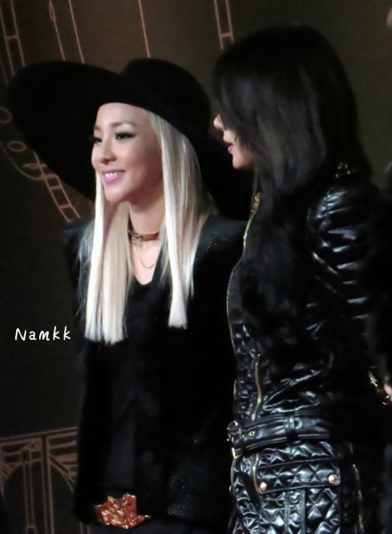 ae10f252gw1eazx0woyazj20lo0tjdk8