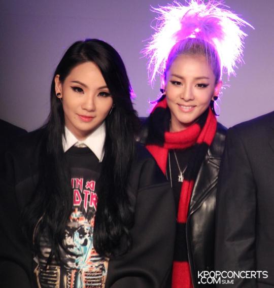 IMG_3989_zps540bfda1