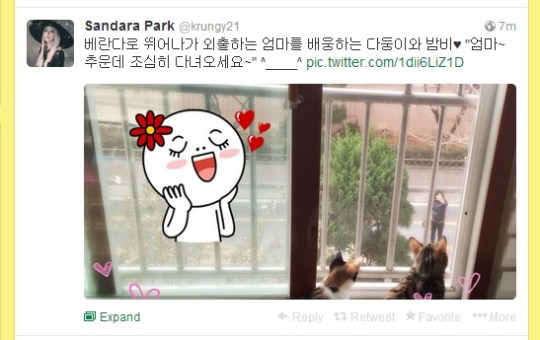 DaraDadoongBambiOmma