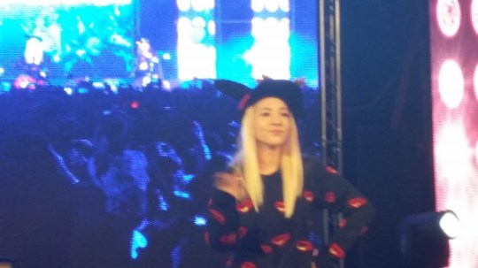 web_3696353719_6419b071