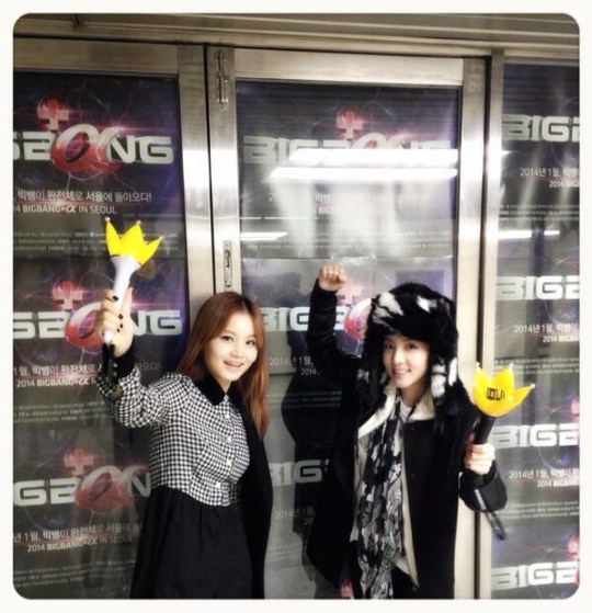 dara and hayi