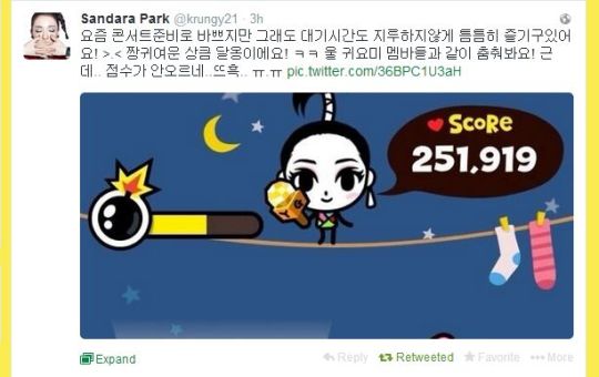 FireShot Screen Capture #030 - 'Sandara Park (krungy21) on Twitter' - twitter_com_krungy21_with_replies