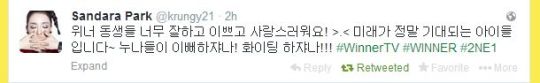 FireShot Screen Capture #032 - 'Sandara Park (krungy21) on Twitter' - twitter_com_krungy21_with_replies