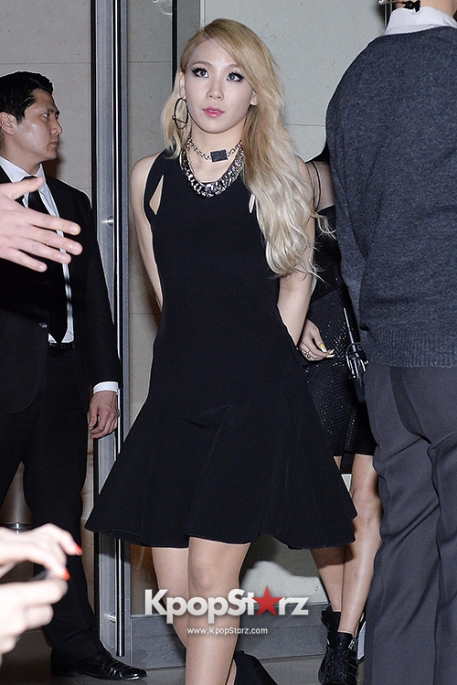 2ne1-attends-dkny-25th-anniversary-fashion-show (1)