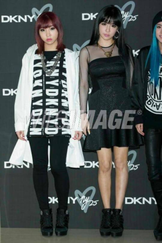 2ne1-dkny-24