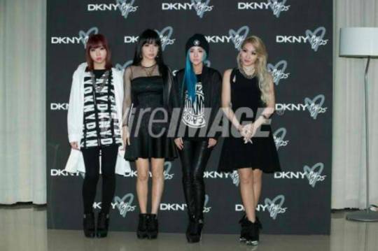 2ne1-dkny-26