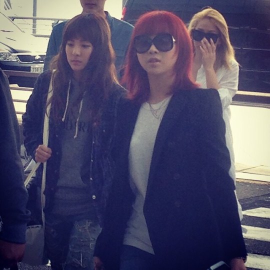 6f918b1bjw1efrk384mg6j20hs0hsgnw