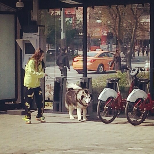 dd5c0a6cbe0b11e3ac54129e12f3c781_8