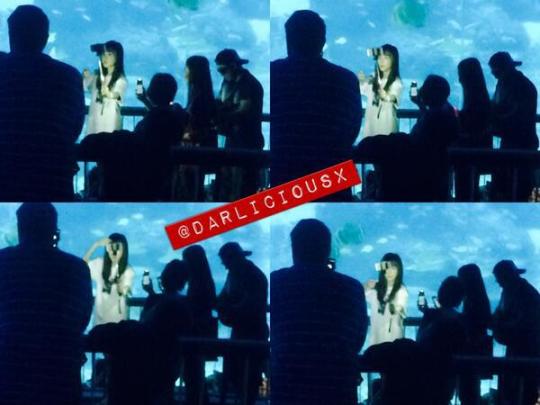 spotted-dara-in-singapore-sentosa