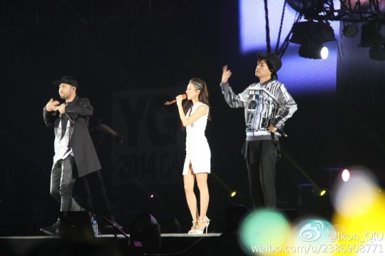 8e455663gw1elj66mljorj21kw11x0zn