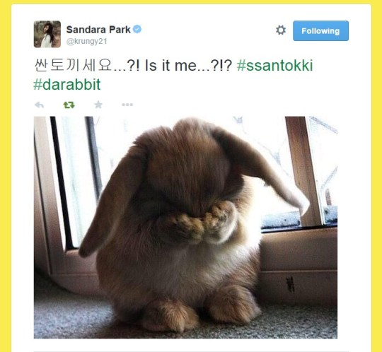 FireShot Capture - Sandara Park on Twitter_ - https___twitter.com_krungy21_status_541071948952776704