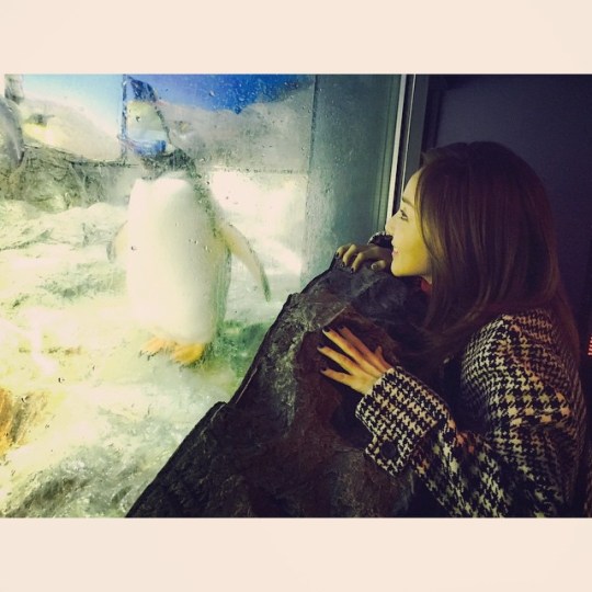 10903644_562959510507181_2009241401_n