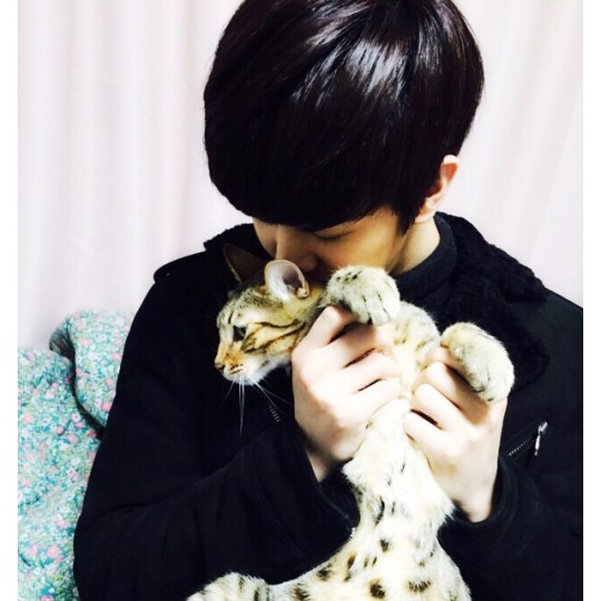 11005001_1375760299408114_1712583206_n