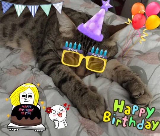 tumblr_nokm592gpO1thy42eo1_1280