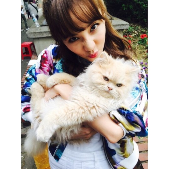 11378760_1863854513838889_1761006708_n