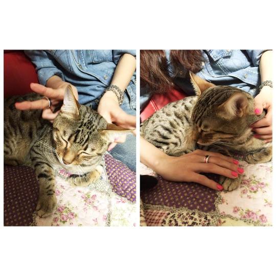 11265726_506578719490958_1086731261_n