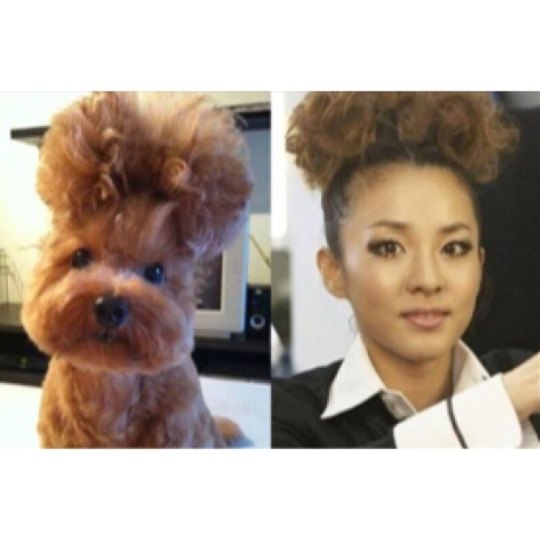 11349137_428113264051428_1207940125_n