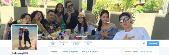 FireShot Capture - halmony888 (@halmoney888) I Twitter - https___twitter.com_halmoney888